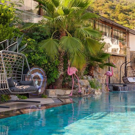 Illusion Beach & Clubhotel - Adults Only Alanya Exteriör bild